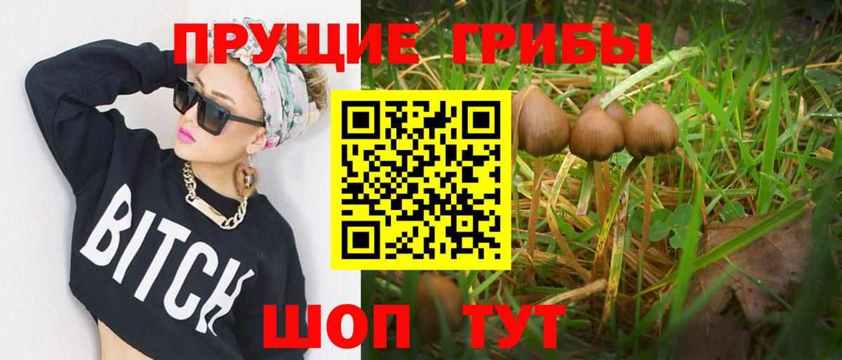 Галлюциногенные грибы Magic Shrooms  Вход с VPN  Ярославль 